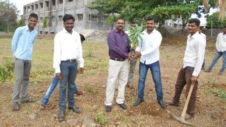 Tree Plantation