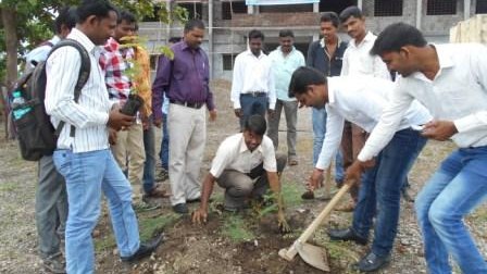 Tree Plantation