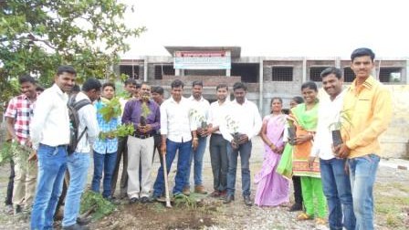 Tree Plantation